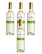 Wino Monte di Cello Chardonnay 13,5 %