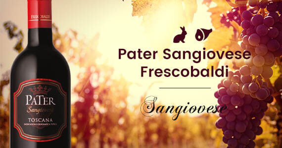 Wino czerwone Pater Sangiovese Frescobaldi