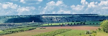 Mołdawia - krótka historia winiarstwa