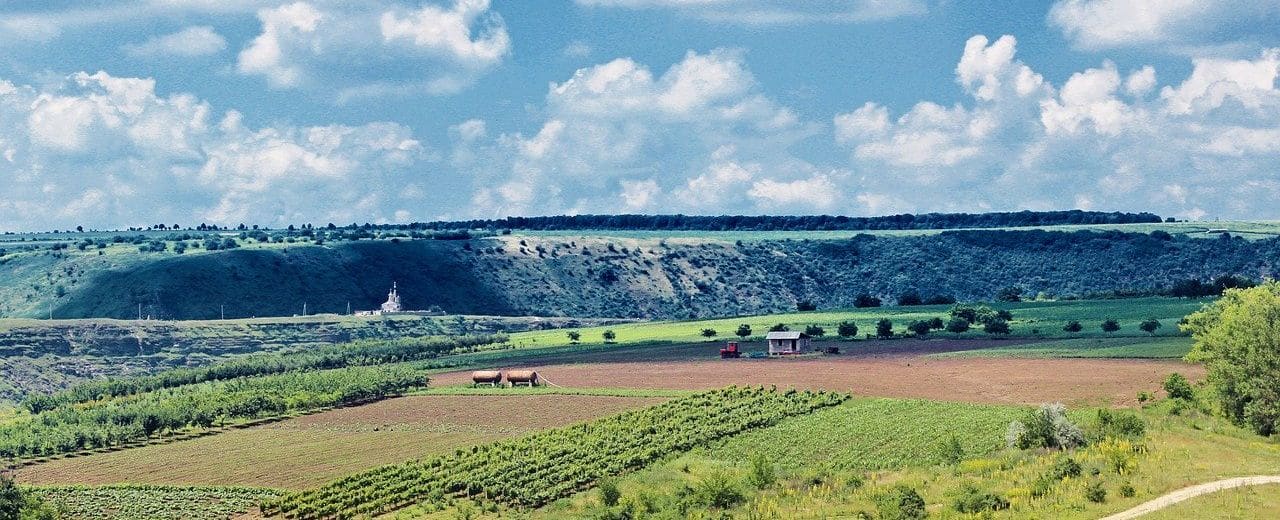 Mołdawia - krótka historia winiarstwa